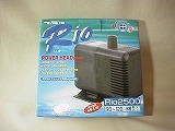 Rio+2500