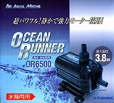 �I�[�V���������i�[6500