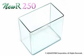 �j���[�A�[��250