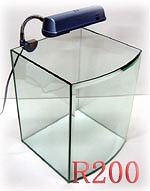 �A�[��200
