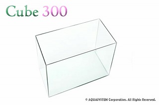 �L���[�u300