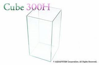 �L���[�u300H