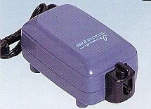�C�m�E�x�[�^2000