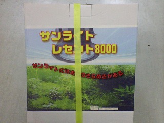 ���Z���g8000