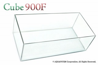 �L���[�u900F